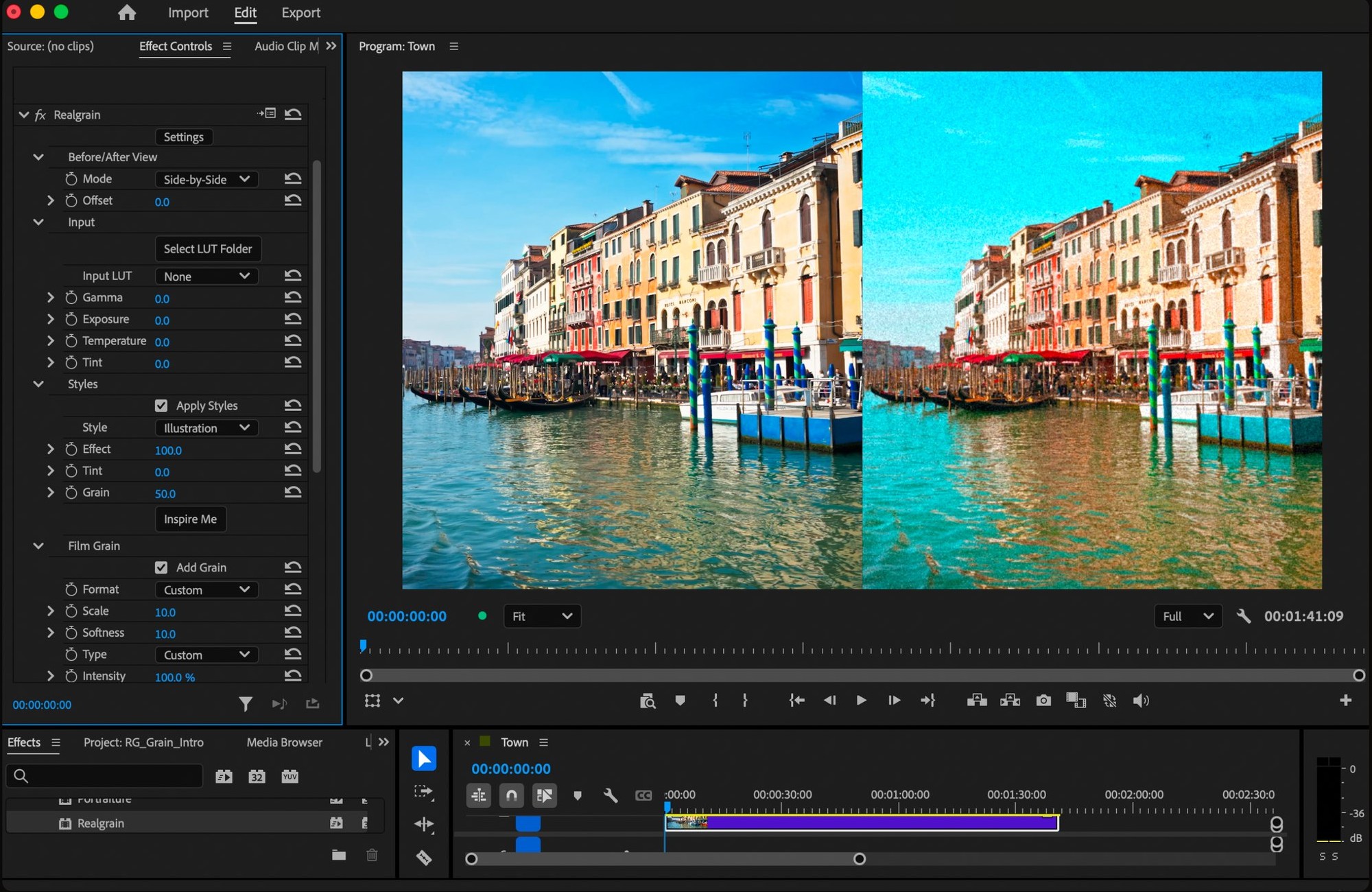 Realgrain Video plugin interface
